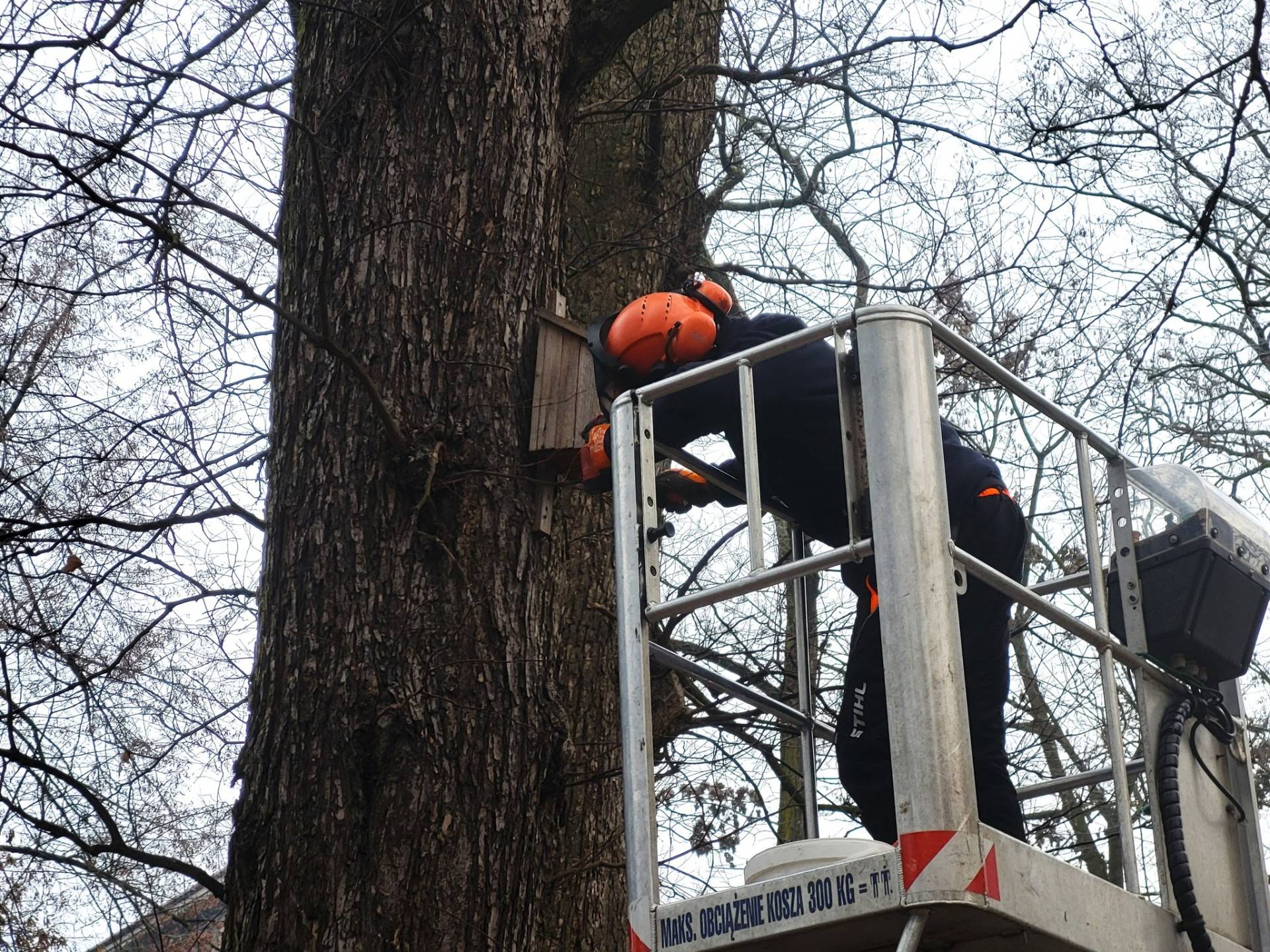 Przygotowania do wiosny w Krakowie ruszyły pełną parą