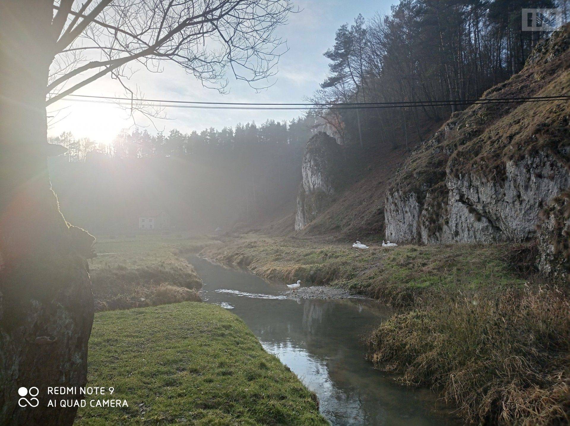 Tak w ten weekend pojadą autobusy do Ojcowa i ZOO