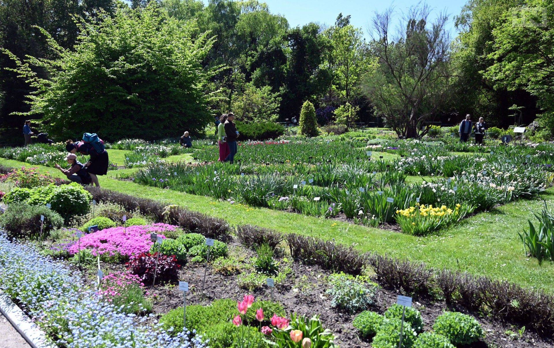 Nowy sposób na kształcenie przyszłych opiekunów miejskiej zieleni w Krakowie