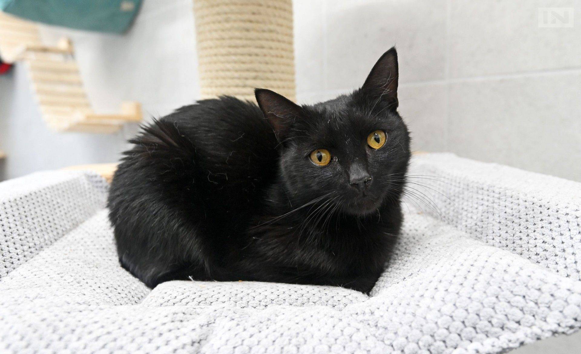 Bardzo ważna akcja w Krakowie, potrwa tylko do piątku