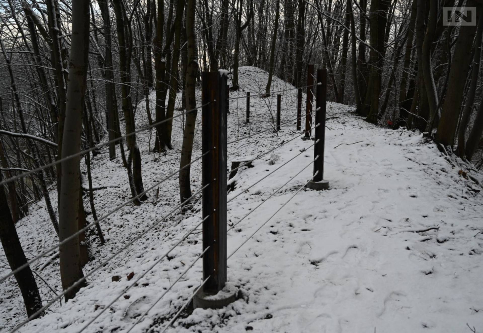 IMGW: ostrzeżenia I i II stopnia przed intensywnymi opadami śniegu