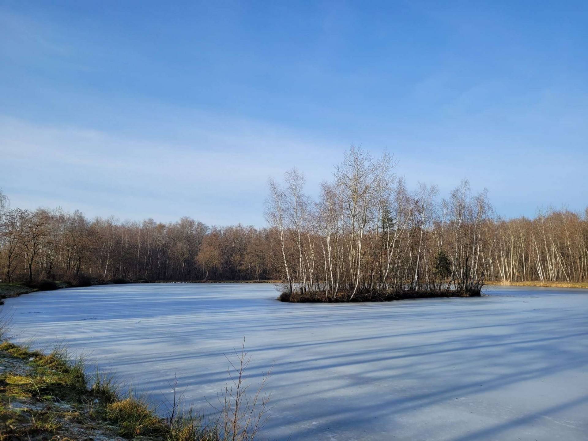 Powstaje kolejny nowy park w Krakowie, urocze miejsce