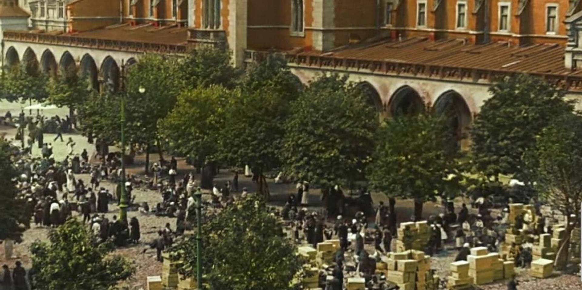 Jest pozwolenie na sadzenie drzew na Rynku Głównym w Krakowie