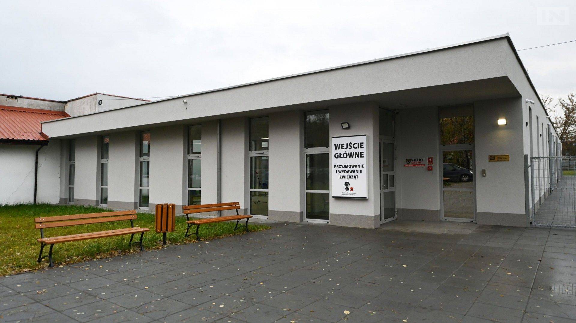 Co się dzieje w krakowskim azylu dla zwierząt? Opiekunowie przypominają