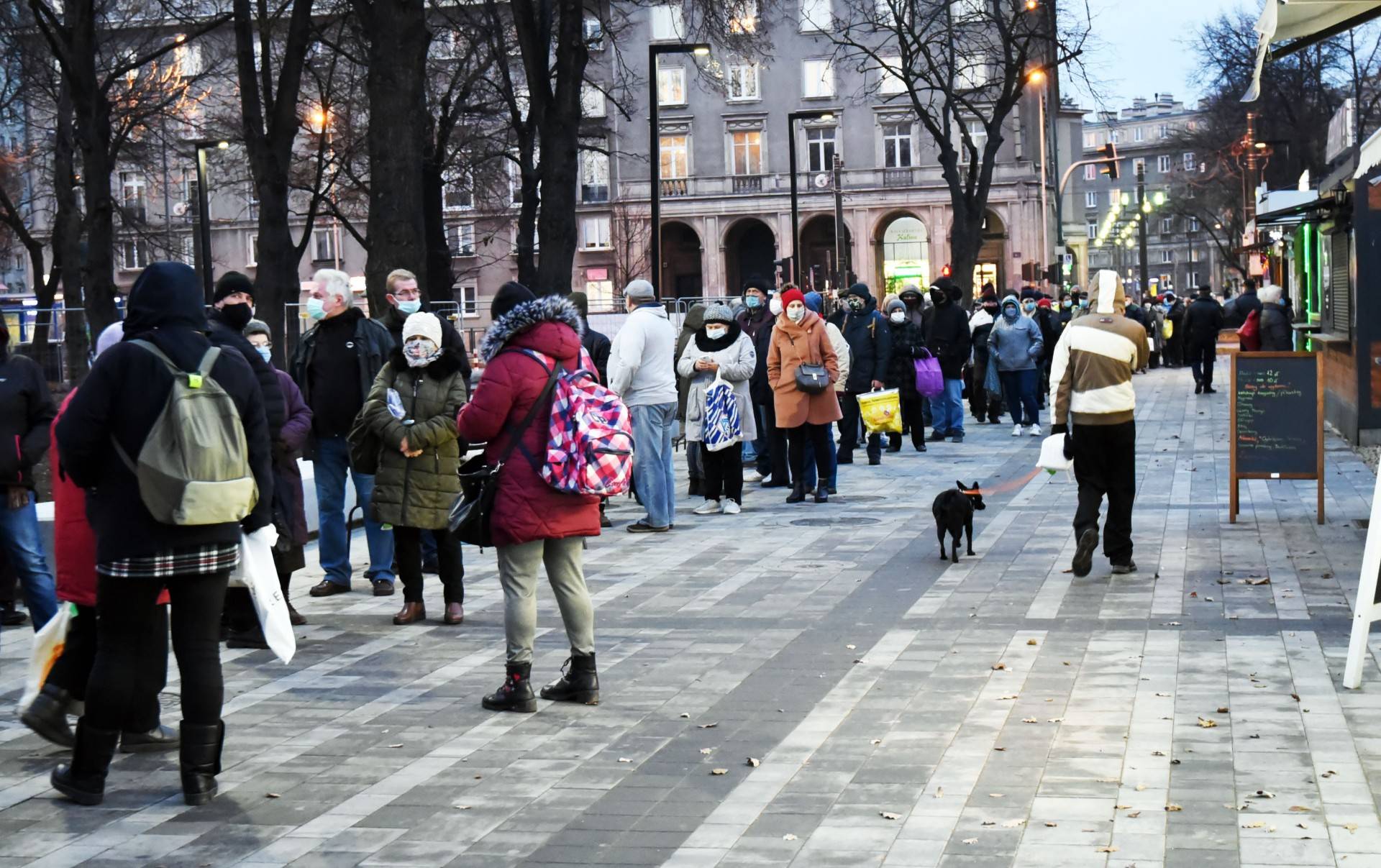 Za czym kolejka ta stoi? Za darmowym karpiem!