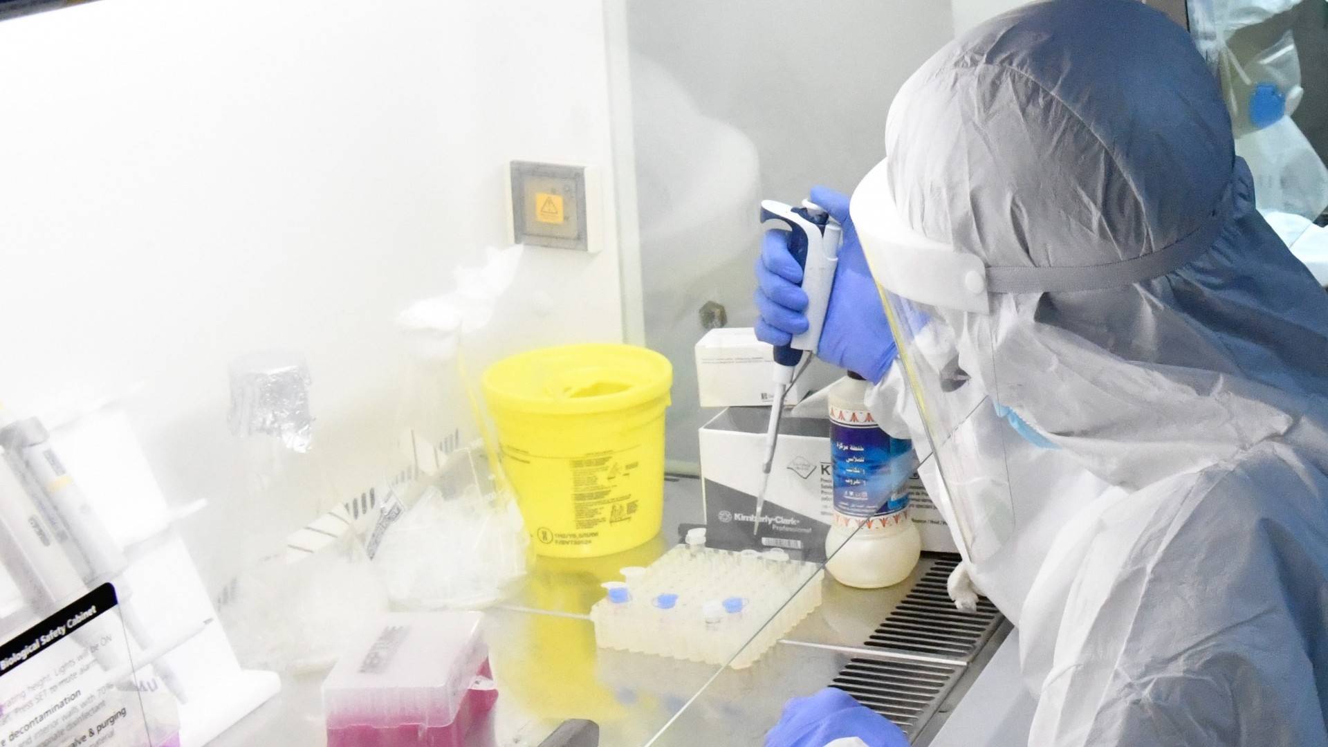 Odtworzyli w laboratorium wirus SARS-Cov-2. Sukces krakowskich naukowców