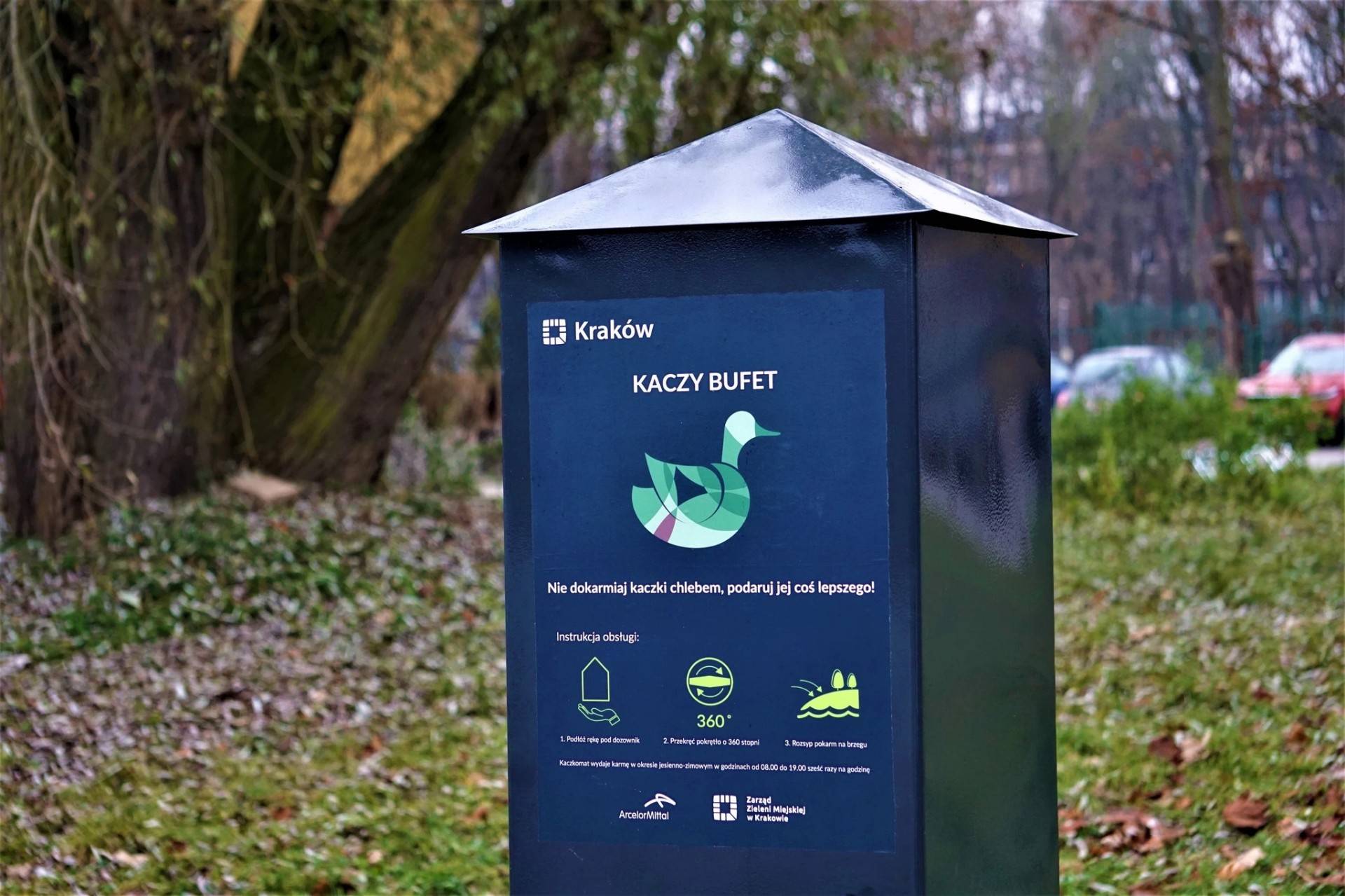 Kacze bufety w krakowskich parkach. "Są idealnym rozwiązaniem"