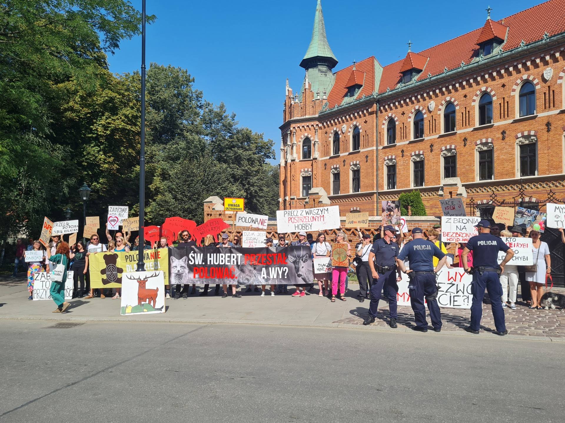 Antyłowiecki protest. Czy targi wymiany idei „jak bić dzieci, żeby nie było widać" byłyby normą?