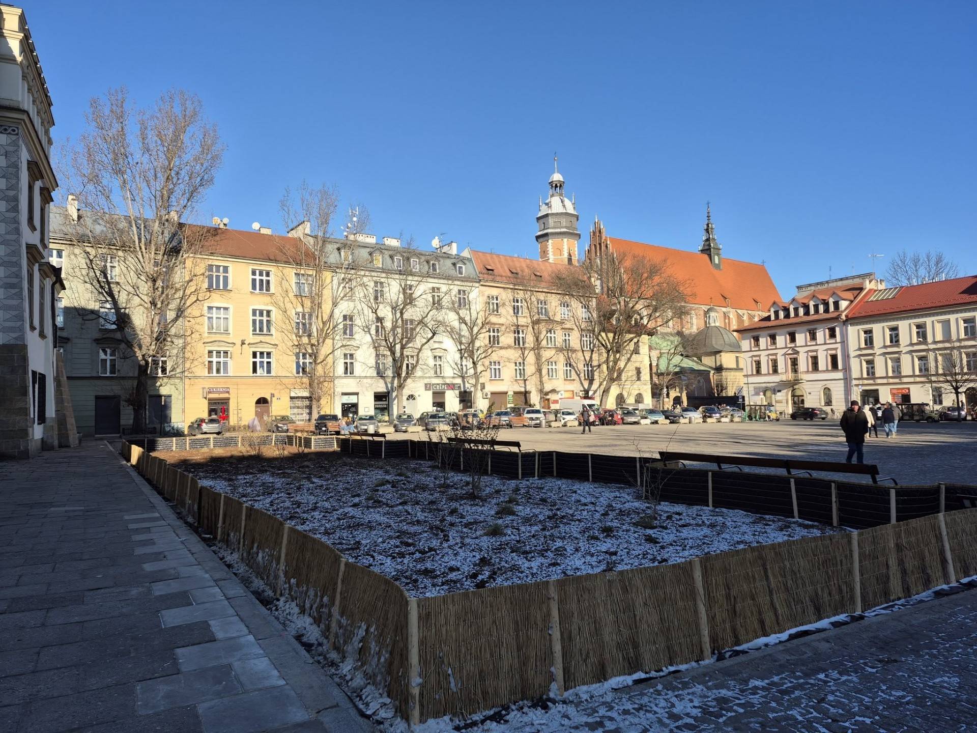 Pierwszy etap odbetonowywania Placu Wolnica. "To dopiero początek"