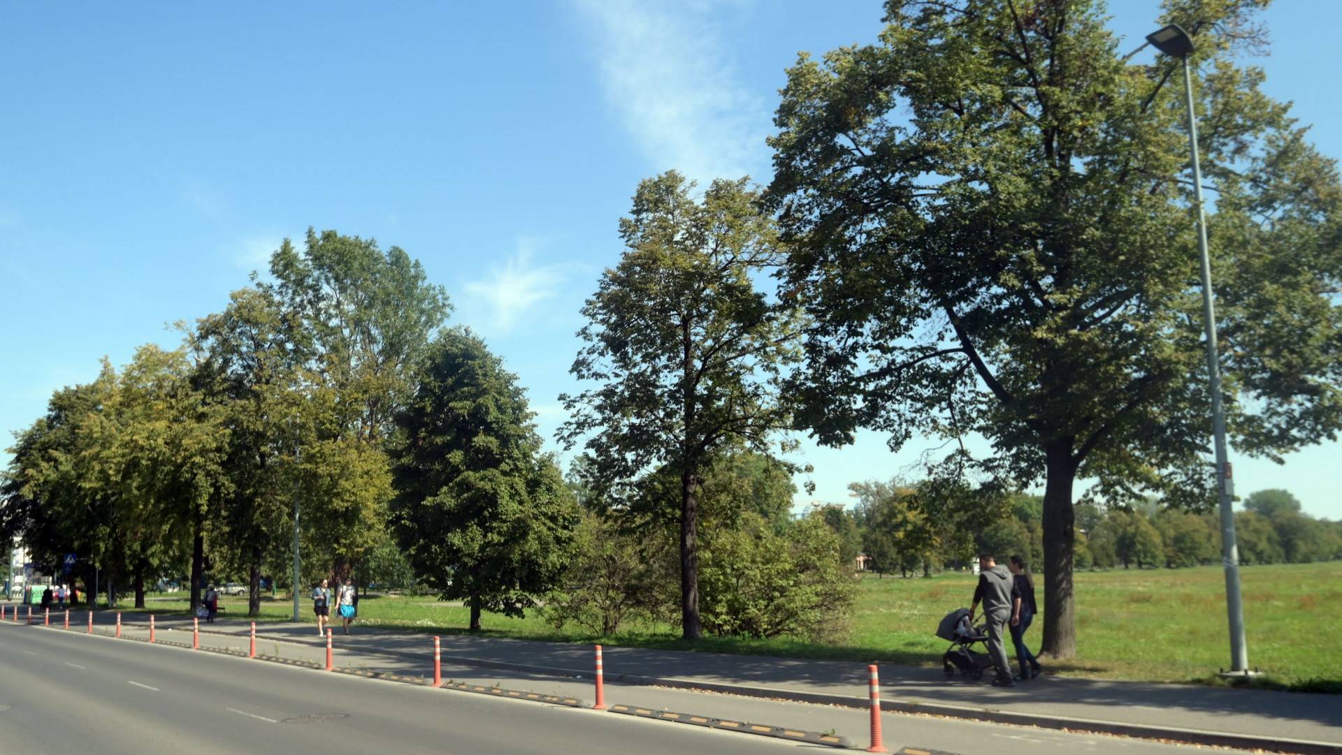 Kibice do tramwaju, autostrada dla melomanów? Kontrowersyjna wycinka drzew na Piastowskiej