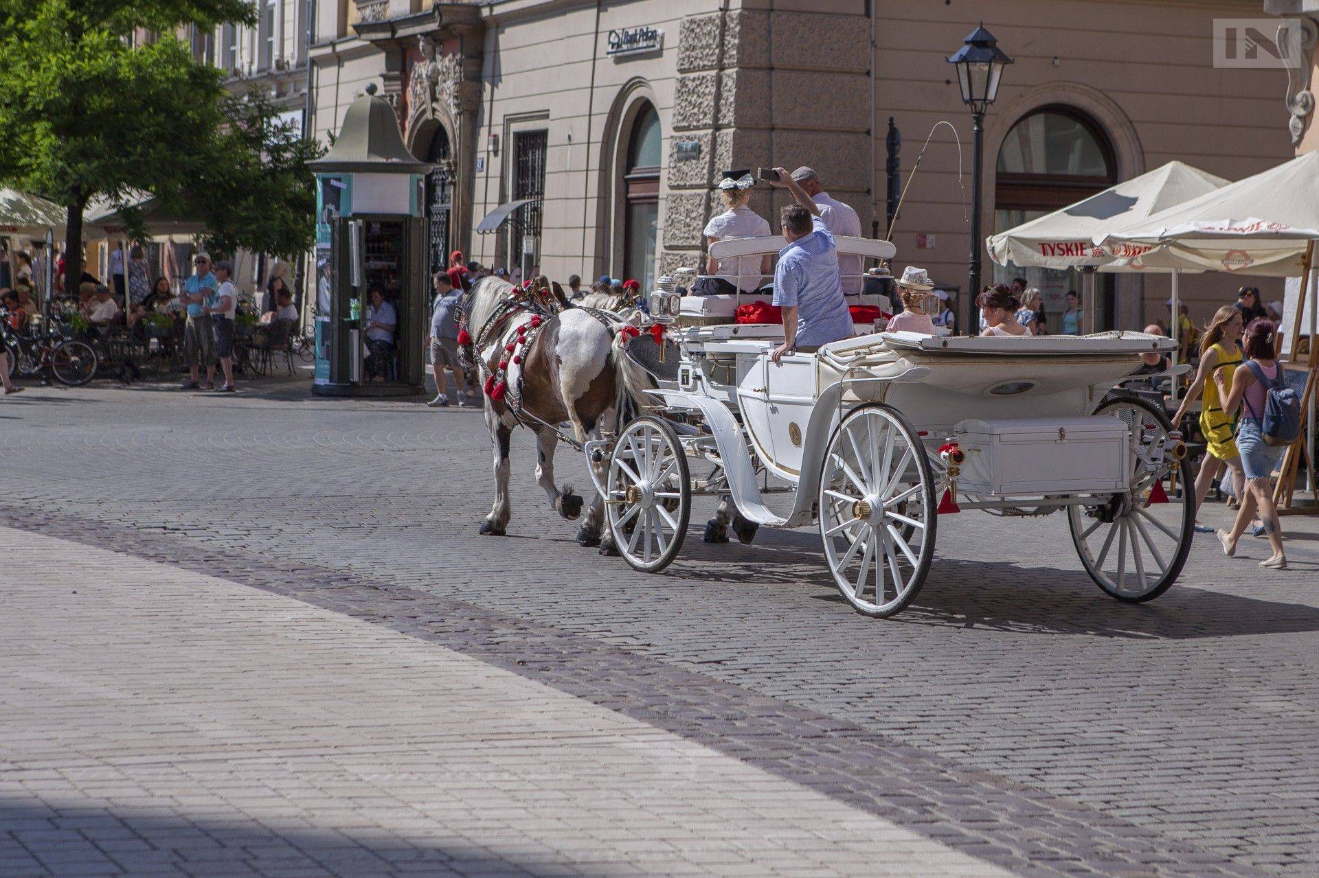 W niedzielę dorożki nie wjadą na Rynek Główny. Postoje zastępcze nieczynne