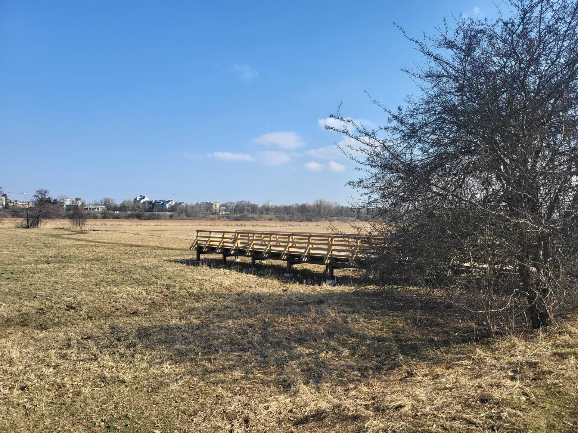 Łąki Nowohuckie, super miejsce teraz bardziej dostępne