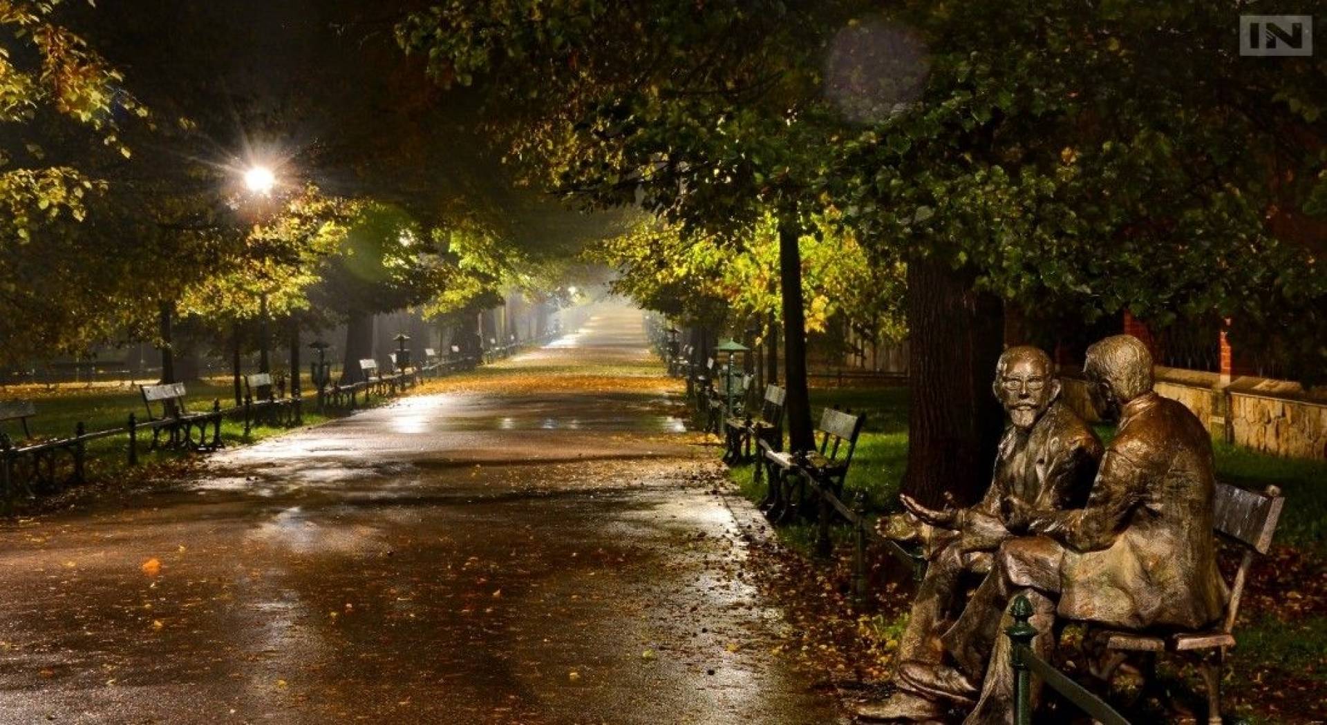 Zieleń w Krakowie ma być priorytetem, obietnice urzędników na 2026 rok