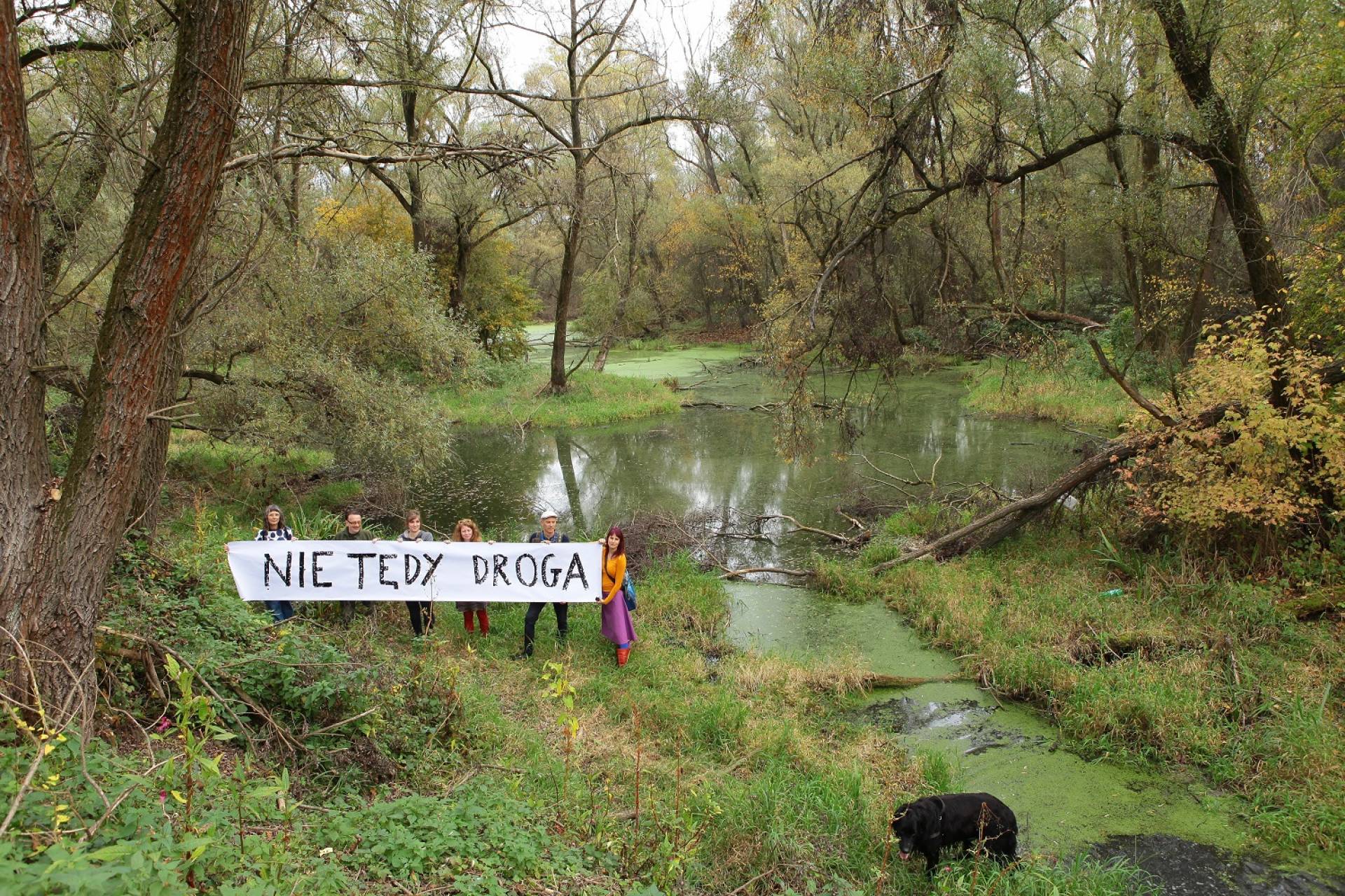 Aktywiści się cieszą: „obroniliśmy unikatowy las łęgowy”