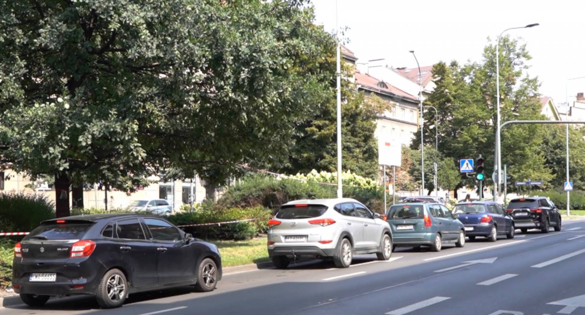 Skuteczny protest przeciwko wycince... dwóch drzew. Jednak nie jest to konieczne