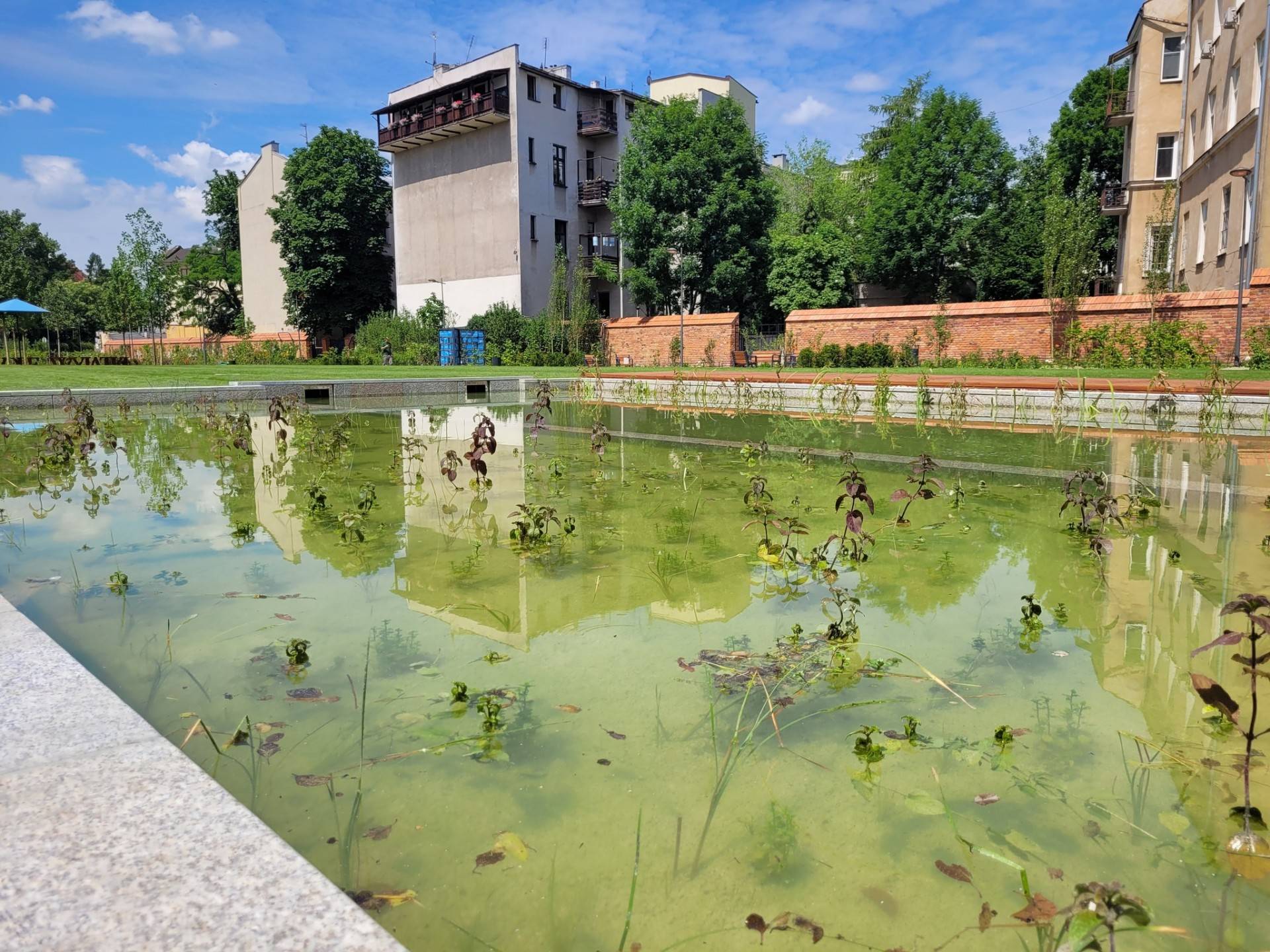 Przepływ wody w parku Szymborskiej został wyłączony. "Wodę zaszczepiono"