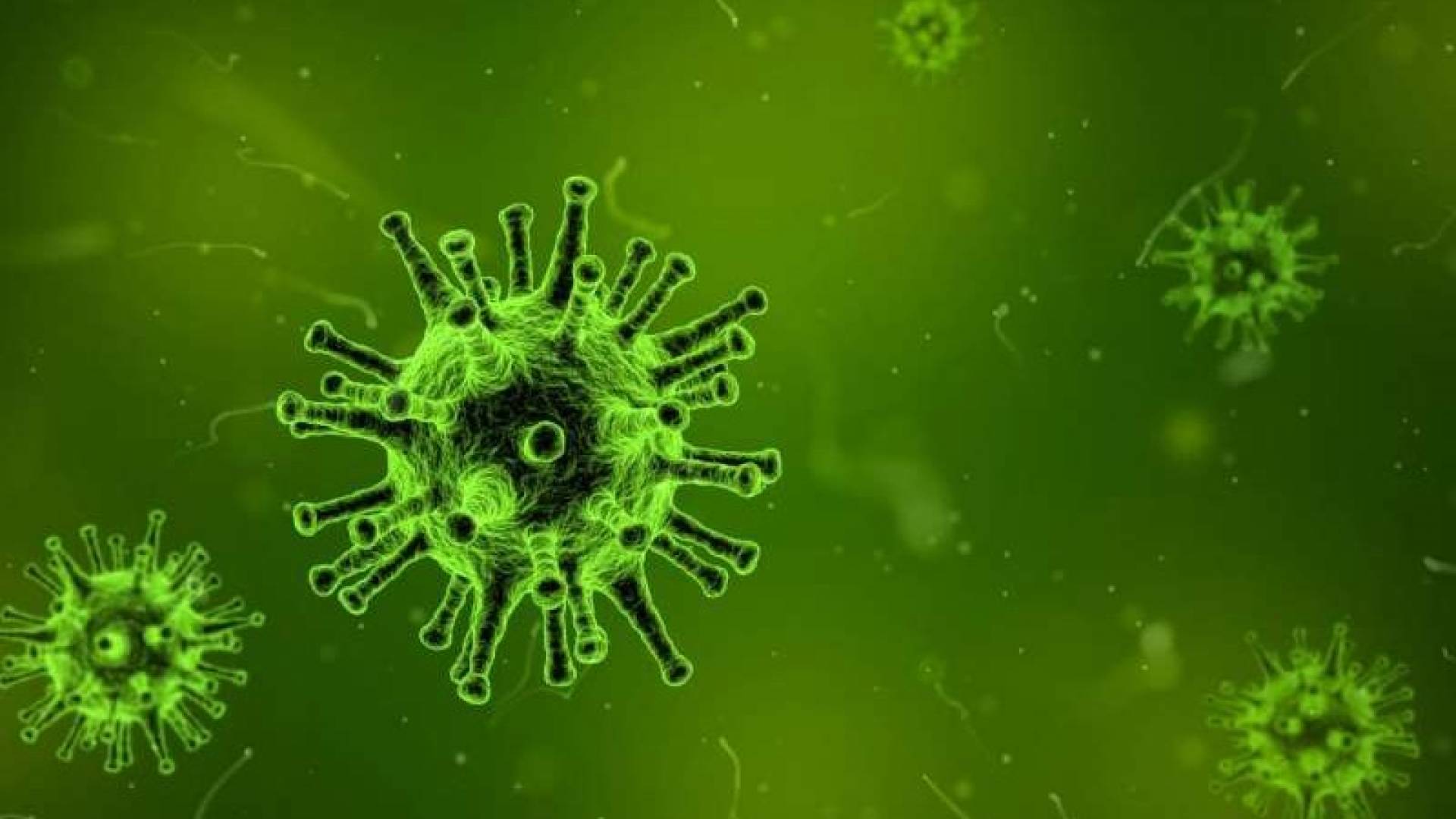 Co wiemy o nowych mutacjach wirusa? Nasz gość: prof. Piotr Rzymski