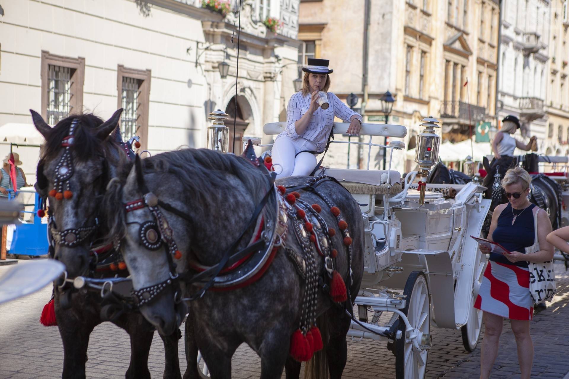 Żądają całkowitego zakazu pracy koni w upały w centrum Krakowa