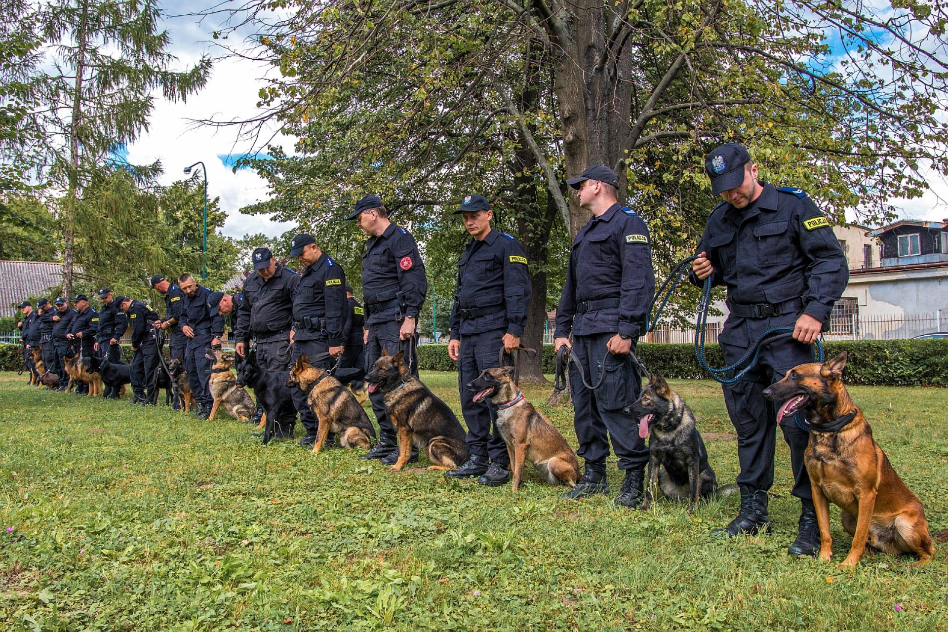 Emerytura dla kilkudziesięciu psów w Małopolsce. Wcześniej mogły liczyć tylko na opiekunów