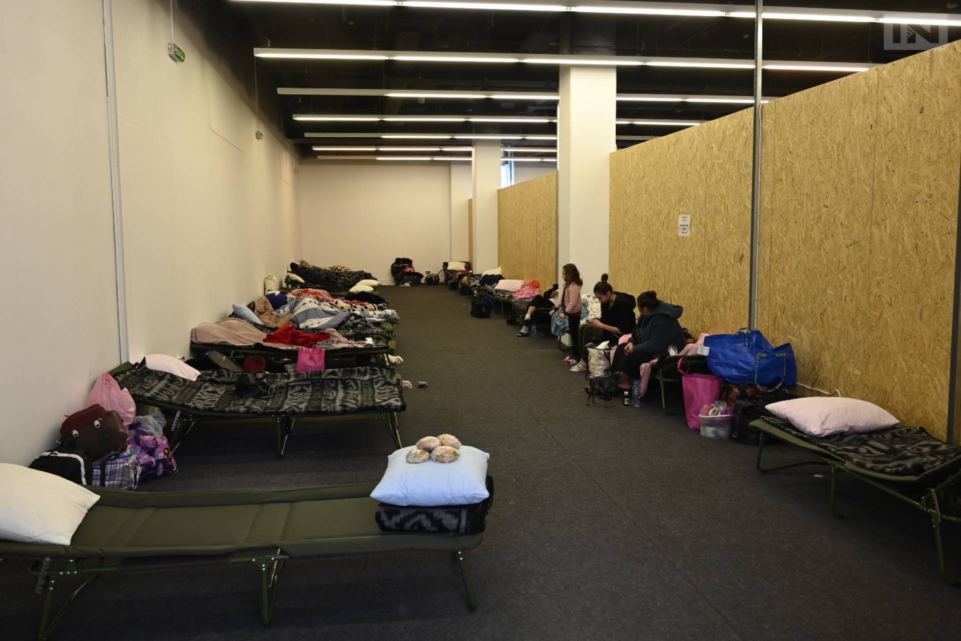 Dlaczego zlikwidowano noclegownię dla uchodźców w hali Hutnika? Decyzja klubu