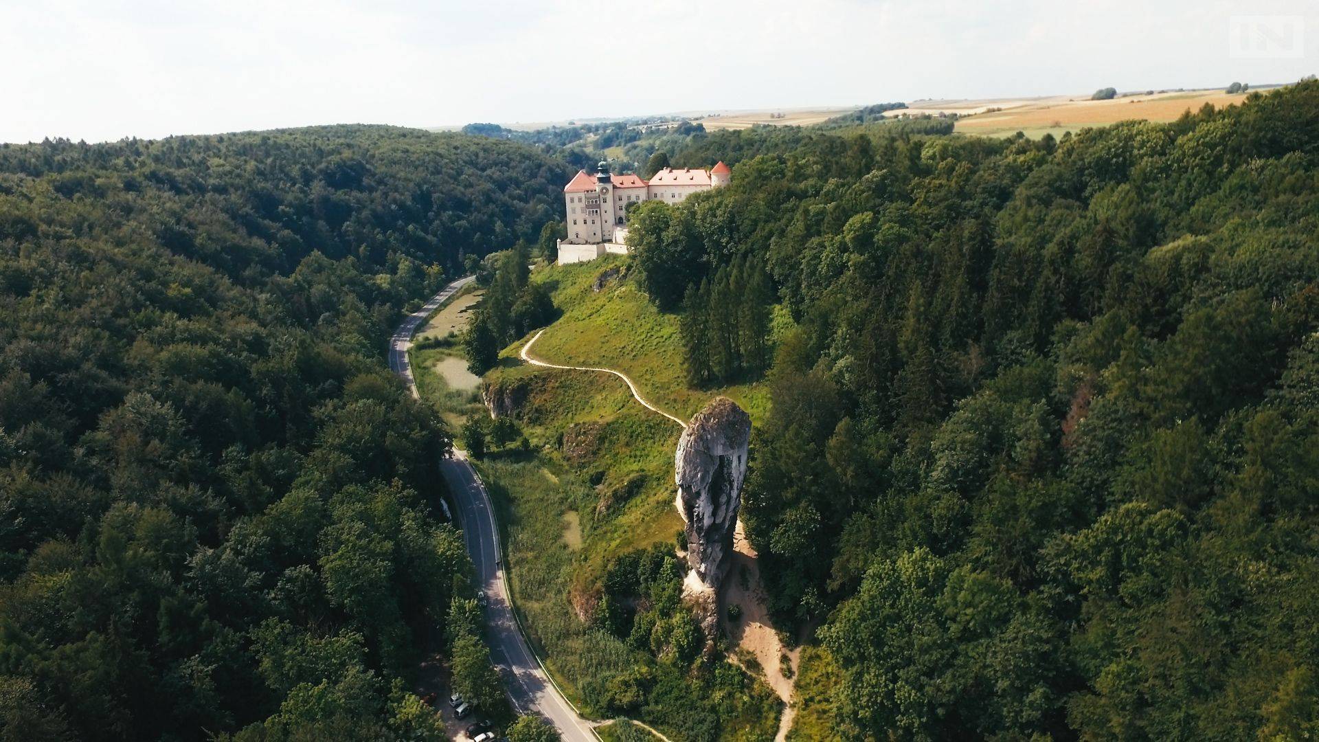 „Baba Jaga” – „Zoo” i linia  do Ojcowa, specjalne kursy autobusowe w długi weekend