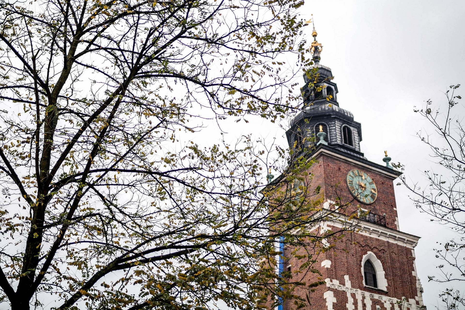 Podziemia pod Wieżą Ratuszową odzyskają dawną świetność