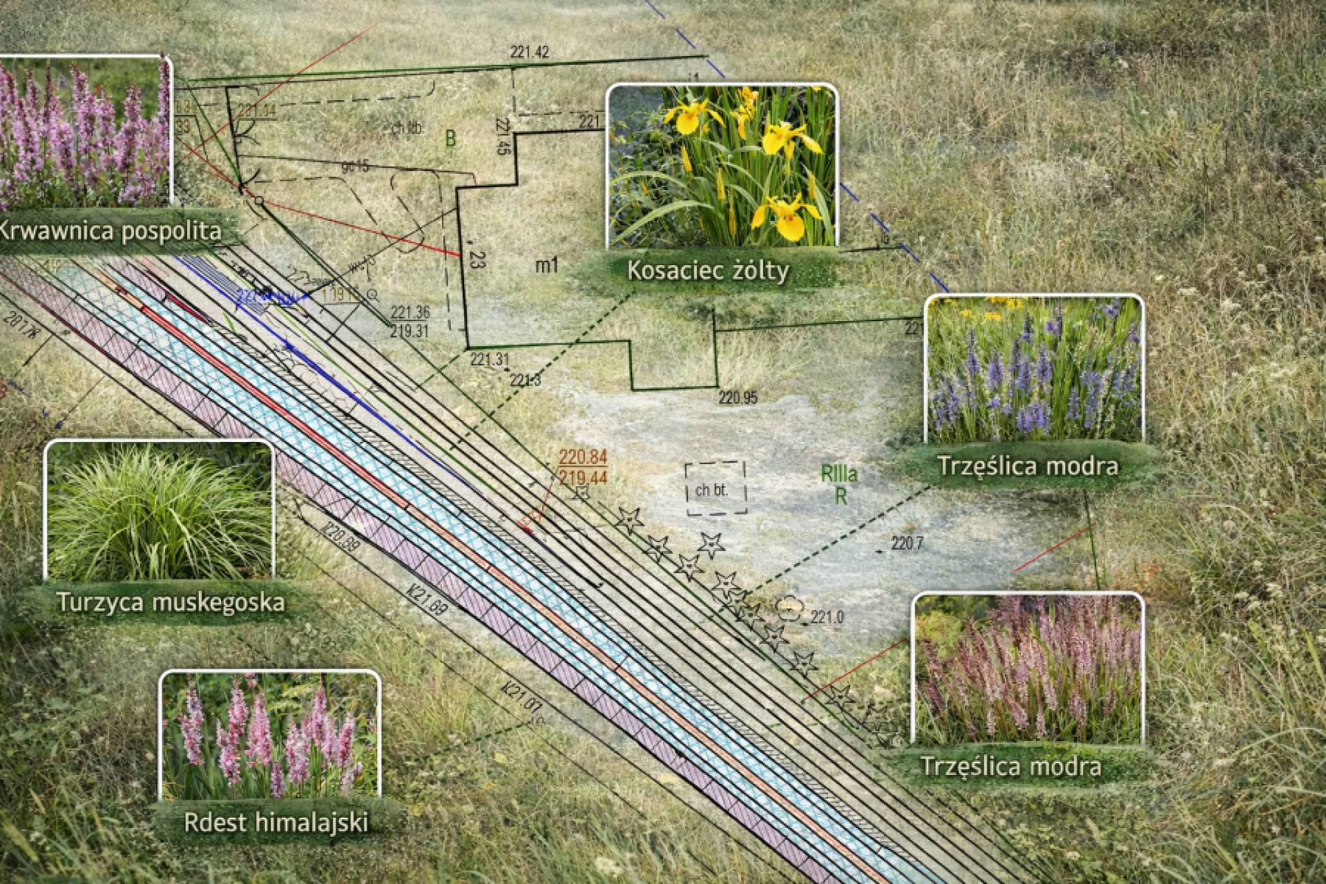 Zazieleni się ulica Burzowa w Krzesławicach, to ma być przyjemna enklawa
