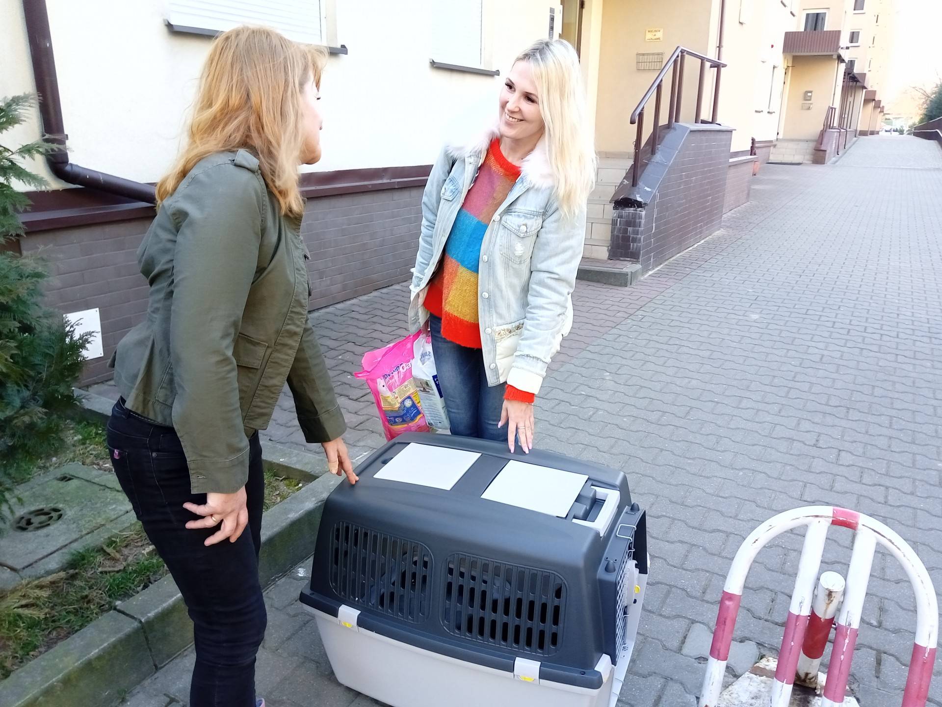 Odnaleziony kot uchodźców z Charkowa trafił do właścicielki. Wróciła po niego z Niemiec