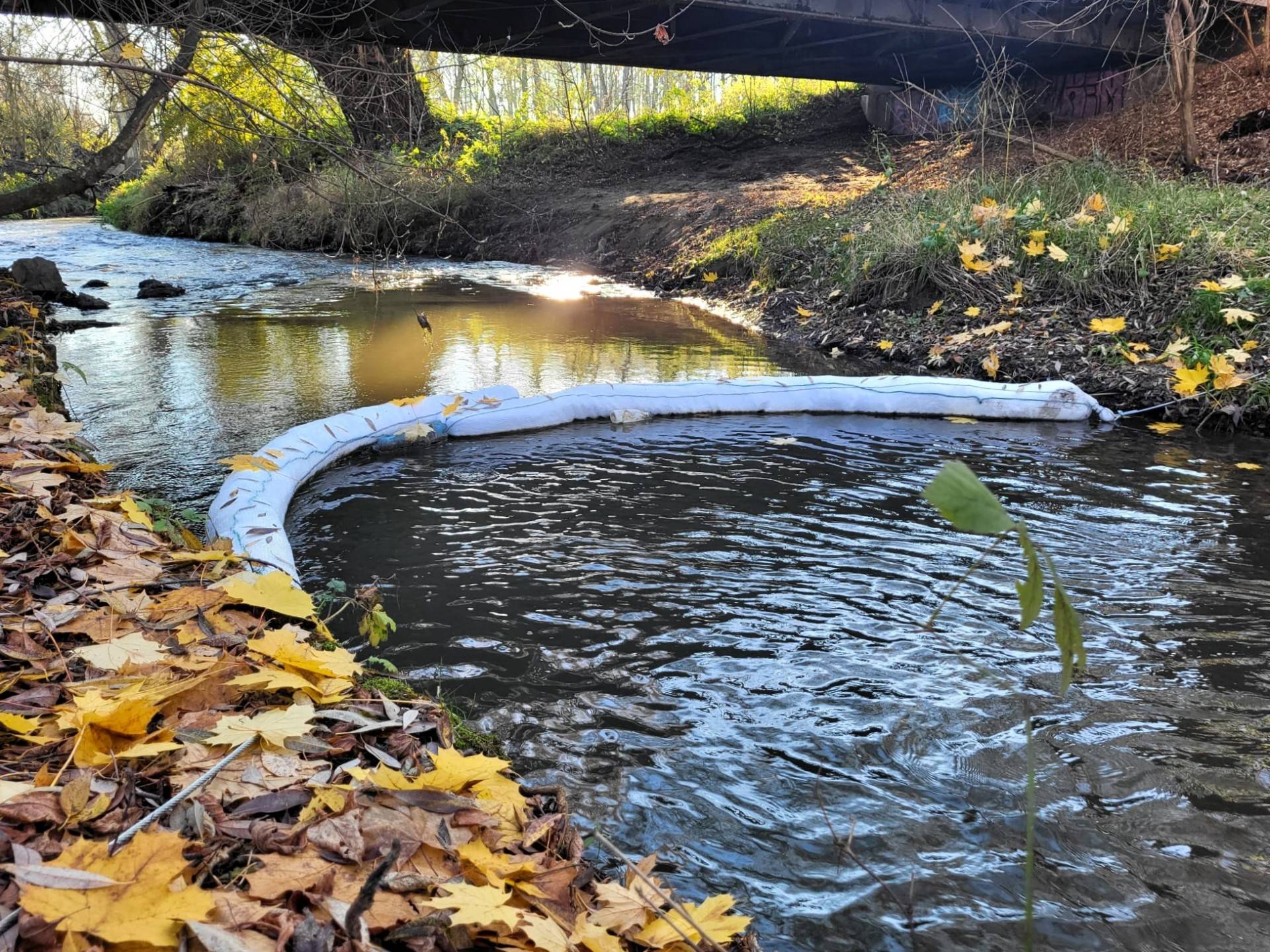 Zainstalowali łapacze śmieci, zatrzymują płynące Białuchą odpady