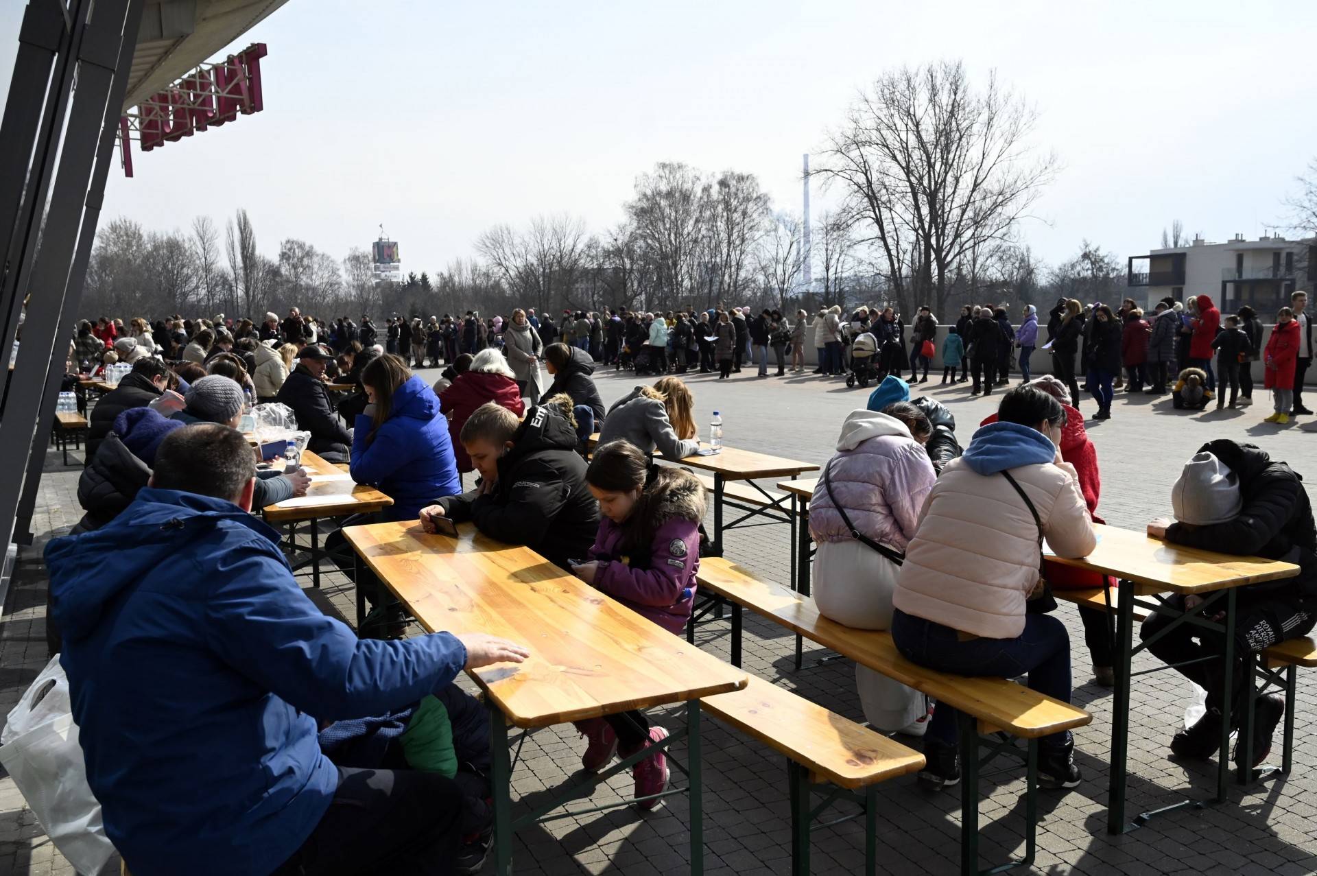 Tłum uchodźców w kolejce po PESEL. Umożliwi korzystanie z socjalnych świadczeń