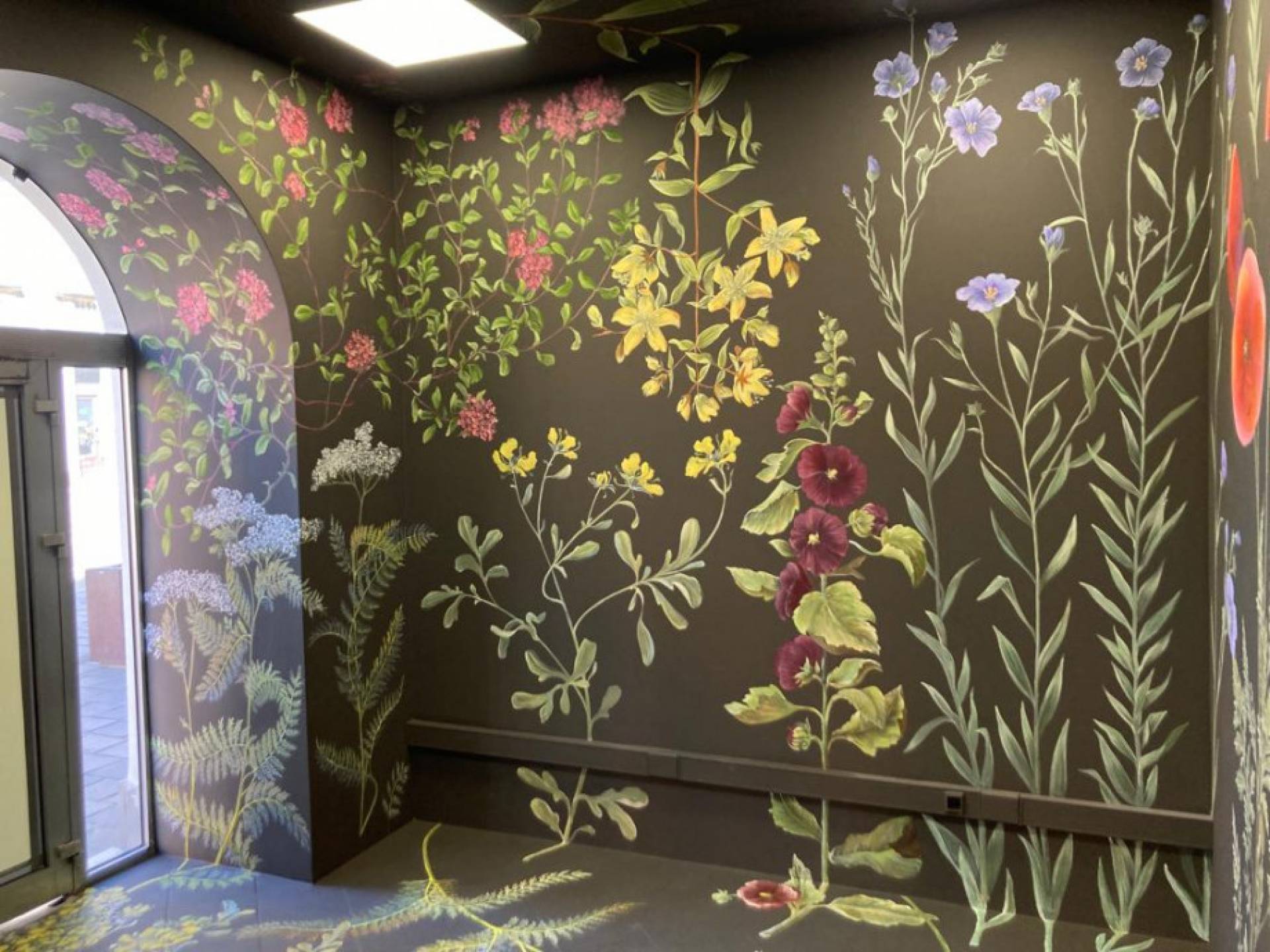 Piękny roślinny mural w Domu Esterki zostanie zamalowany, "spełnił swoją rolę"