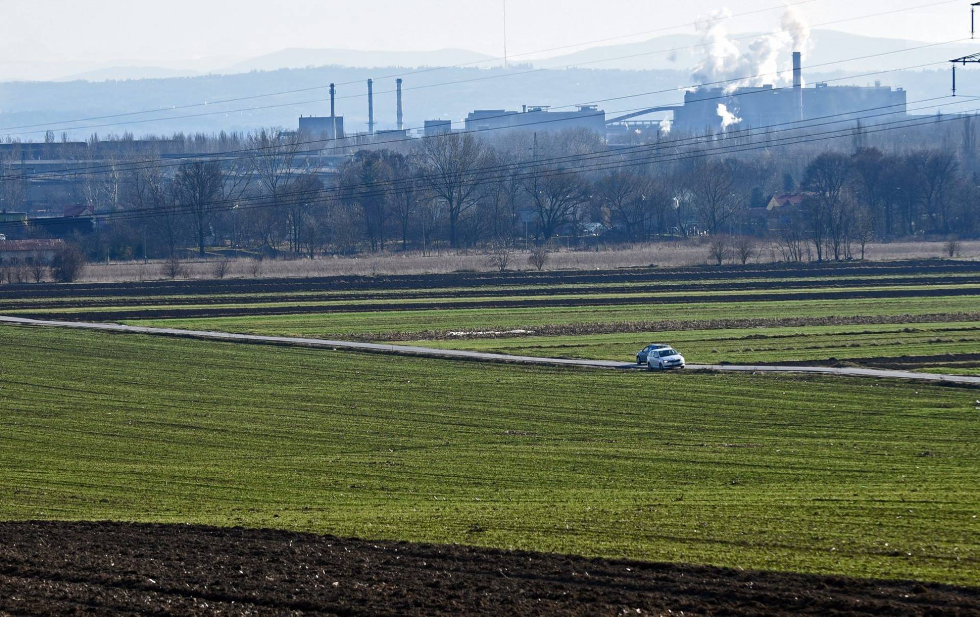 Wybrane tereny zielone w Krakowie będą pielęgnowane przez kozy i owce