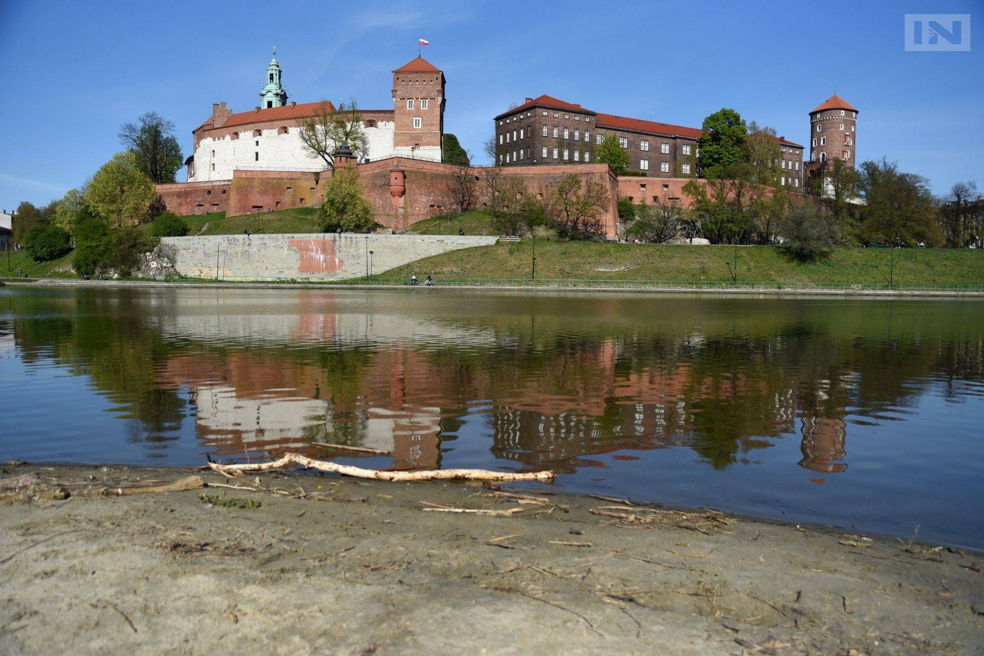 Toksyczna złota alga zagraża Wiśle. "To ma zapobiec katastrofie"