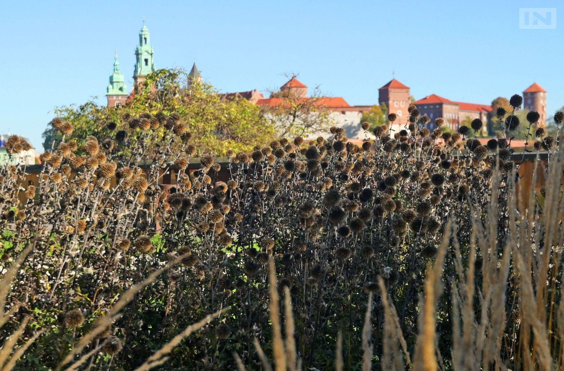 Kraków najlepszym miejscem na jesienny city break