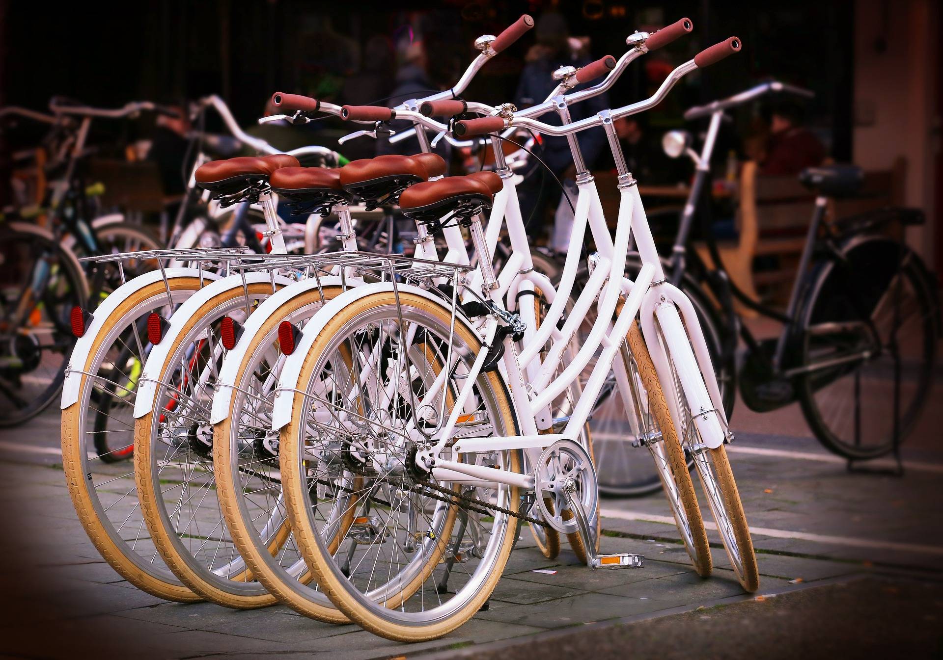 Za darmo wyregulują siodełko i nasmarują łańcuch, we wtorek ruszają miejskie „kontrole rowerowe”