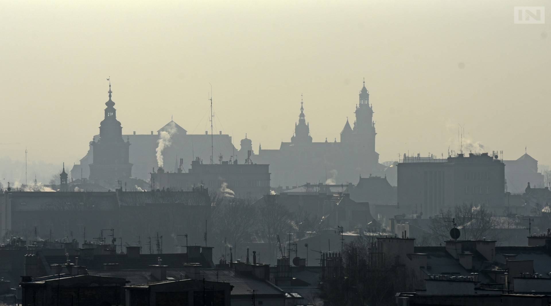 Alarm Smogowy: nie lobbowaliśmy wyłącznie za gazem. Węgiel powróci?