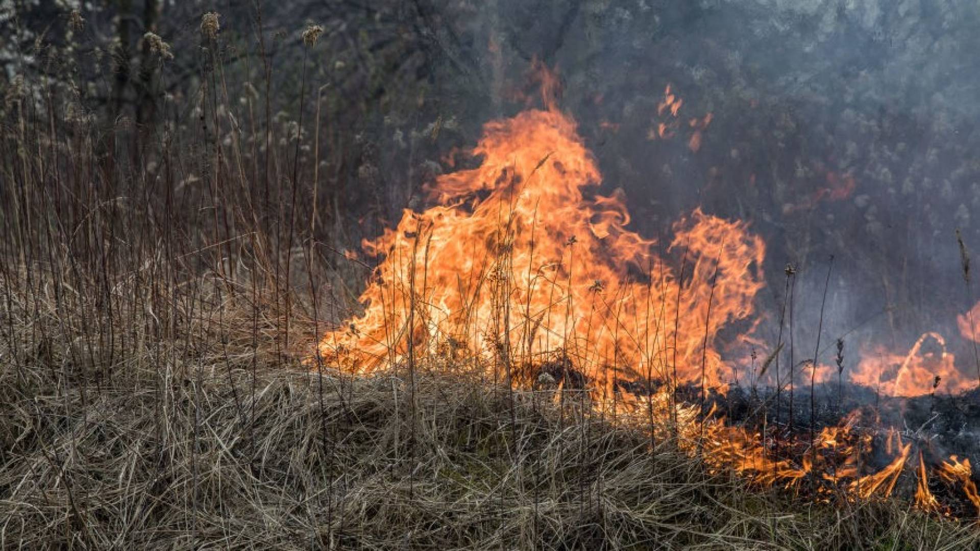 Ludzie ciągle to robią, choć jest to bardzo niebezpieczne i szkodliwe