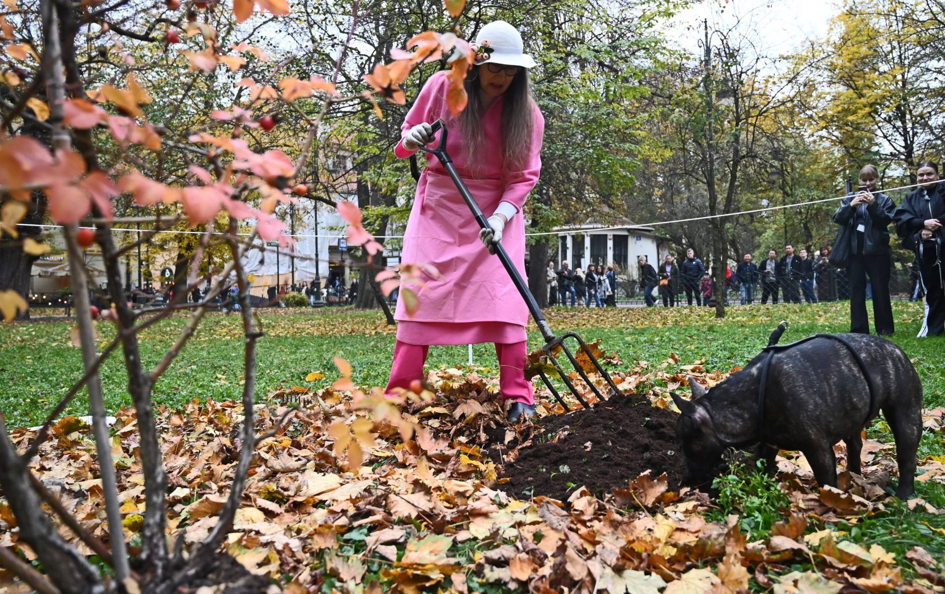 Żywy Róż na krakowskich Plantach, powtórka z 1981 roku