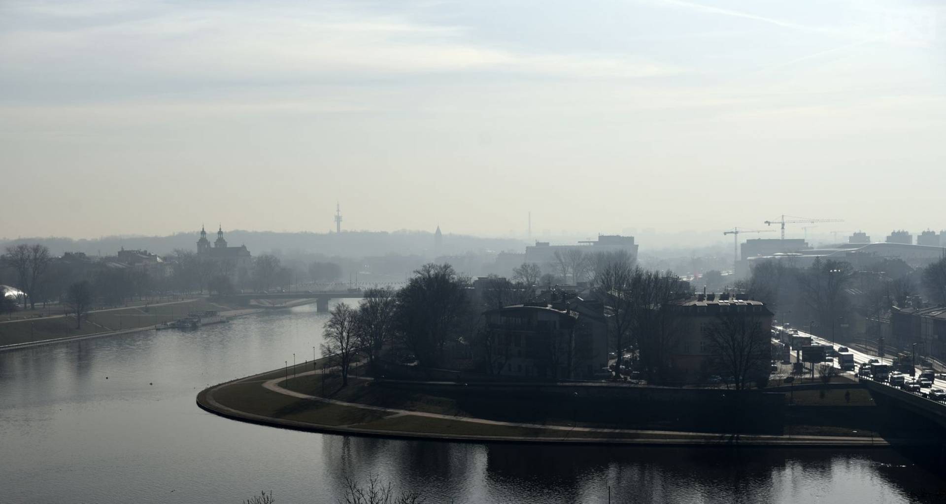 Inwazja owadów nad Wisłą w Krakowie. Miasto wydało komunikat