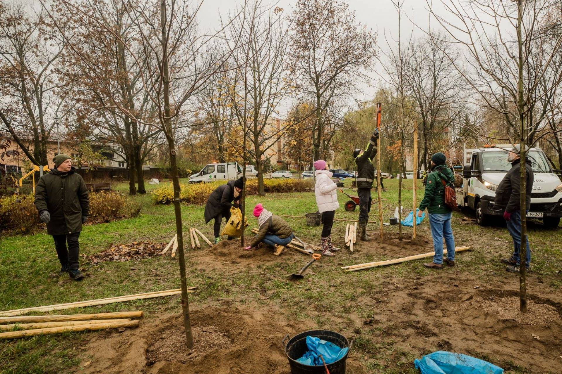 Deweloper chwali się, że posadził w Krakowie 16 drzew. ZZM: "doceniamy inicjatywę"