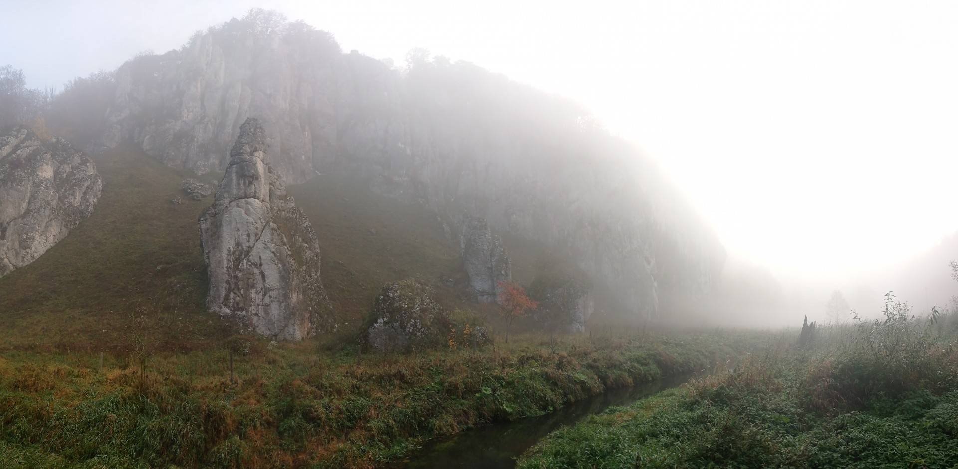 Ulubiona przez Krakowian linia rekreacyjna już działa! Są też dodatkowe kursy