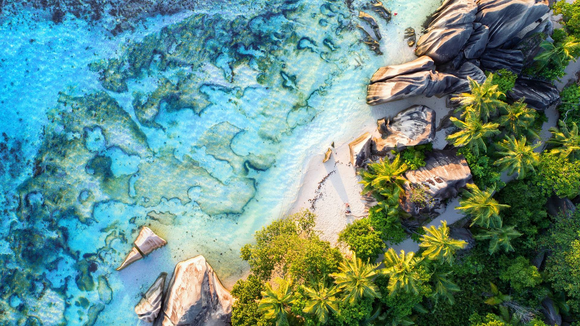 Szum fal, świeże owoce i widoki jak z bajki - poznaj Seszele