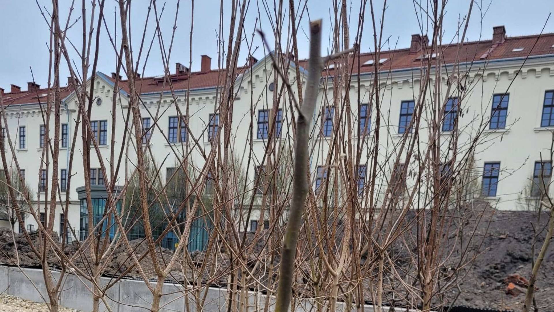 W Parku Szymborskiej sadzą drzewa. Będzie ich tu grubo ponad sto