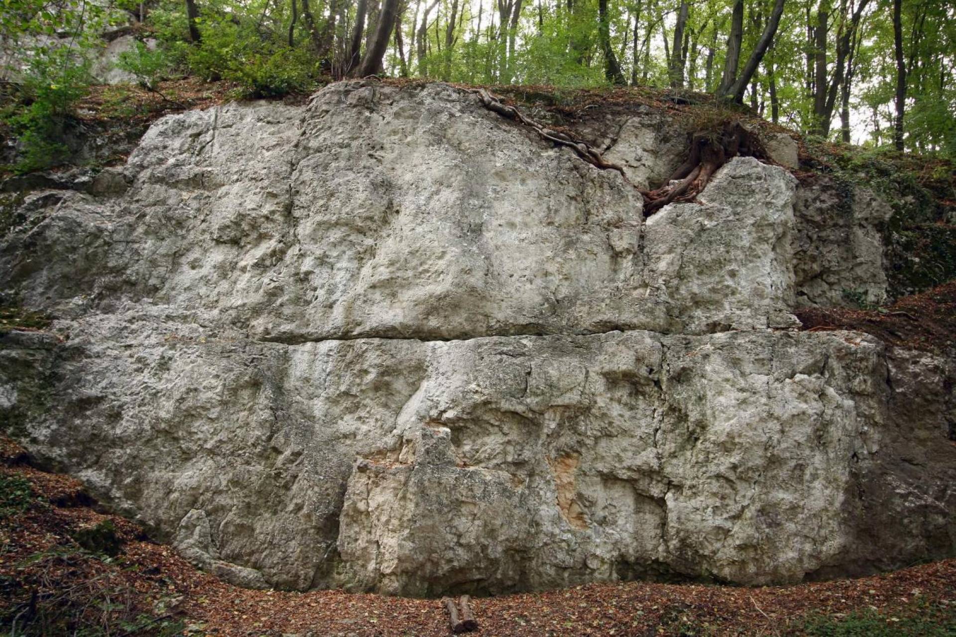 Bezpłatna nauka wspinaczki skałkowej