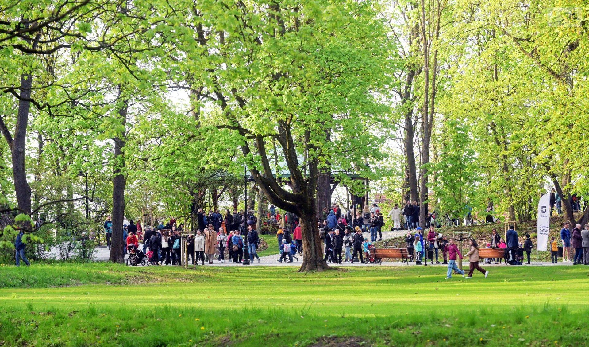 Odsłonią tajemnice cennego drzewostanu w Parku Bednarskiego, wyjątkowy spacer