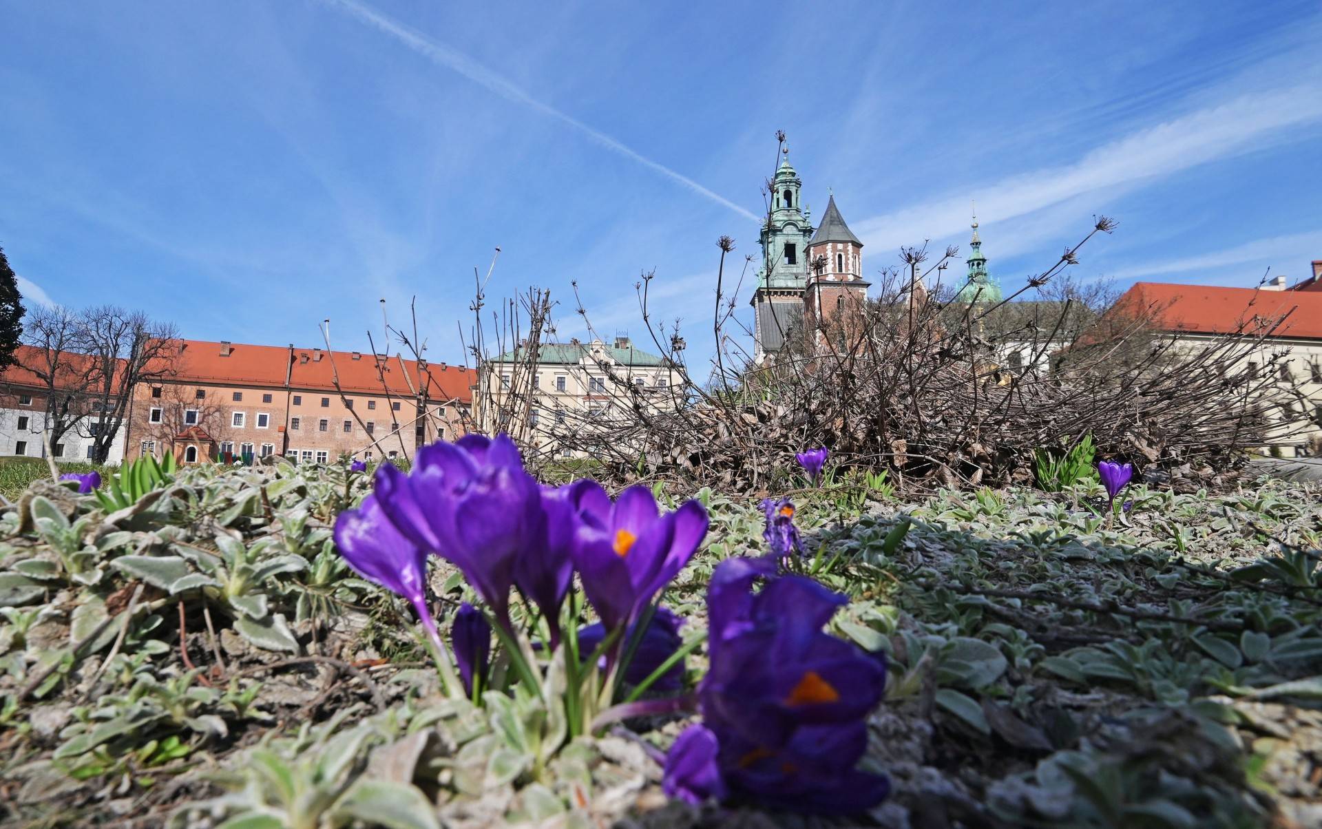Pierwsze mgnienie wiosny w Krakowie, kto nie poszedł dziś na spacer niech żałuje