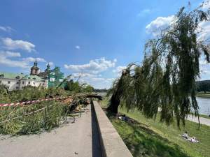 Bulwary Wiślane po nawałnicy: zniszczone charakterystyczne drzewa