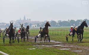 Chcecie oglądać takie imprezy na Błoniach? Kolejna petycja