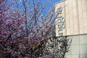 A na zewnątrz robi się coraz piękniej...