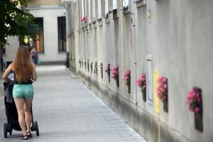 Gdziekolwiek tutaj spojrzę, na każdym kroku widzę róże!